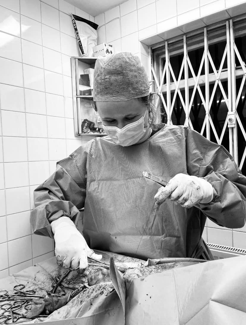 Images Streatham Hill Veterinary Surgery
