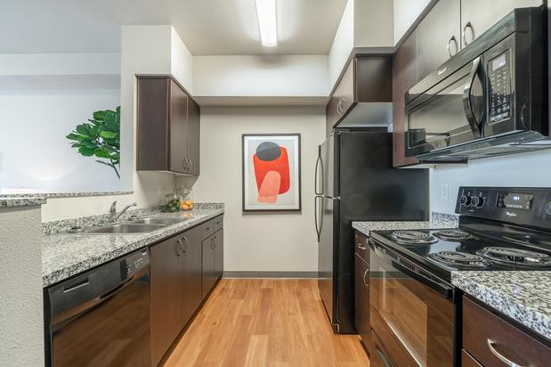 Images The Patterson Social Apartments