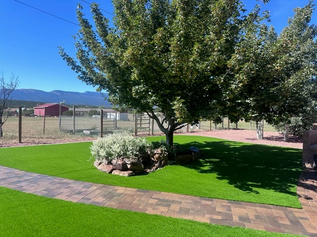 Images Purchase Green Artificial Grass
