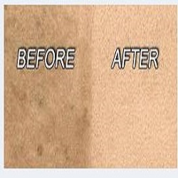Images Palmers Carpet Cleaning