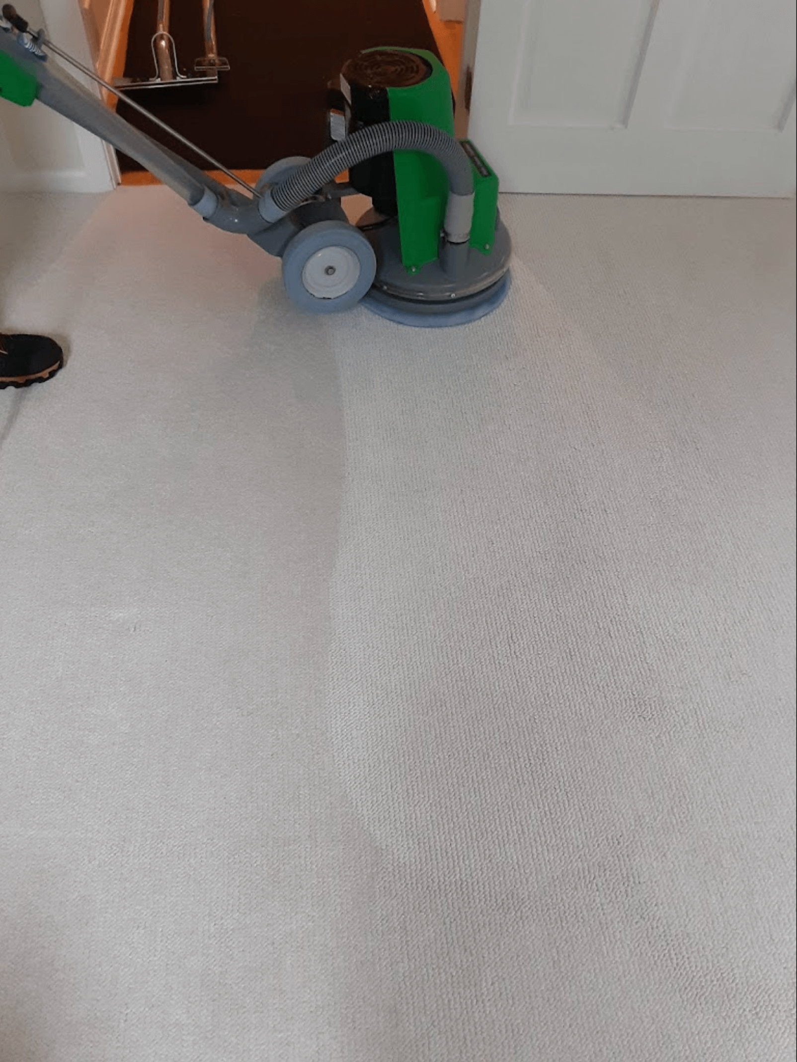 Carpet Cleaning in Freeland, MI