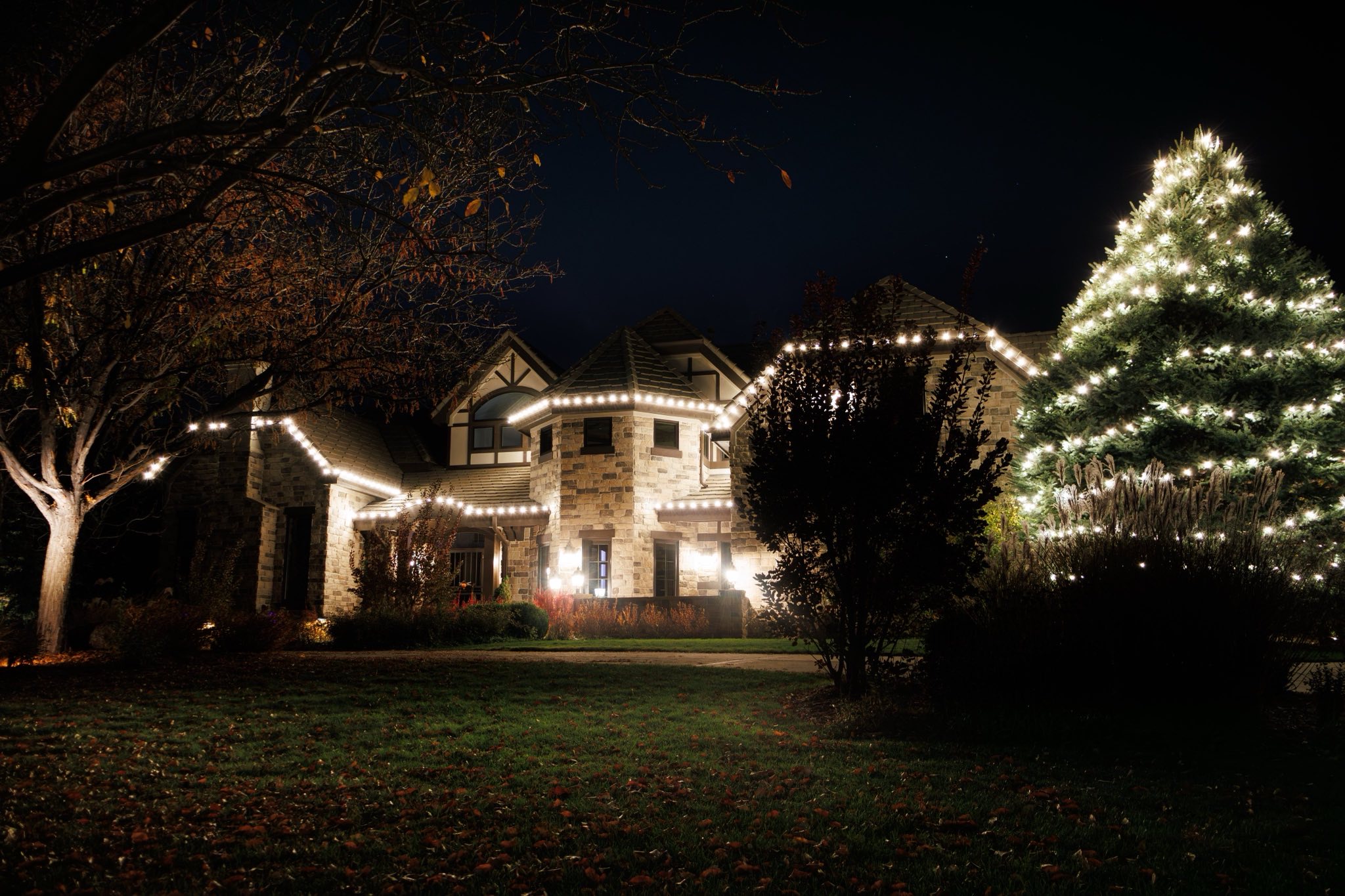 Roofline, tree and landscape lighting working together on one property. 