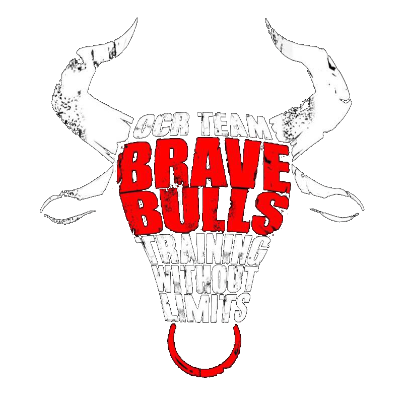 Brave Bulls Training Logo