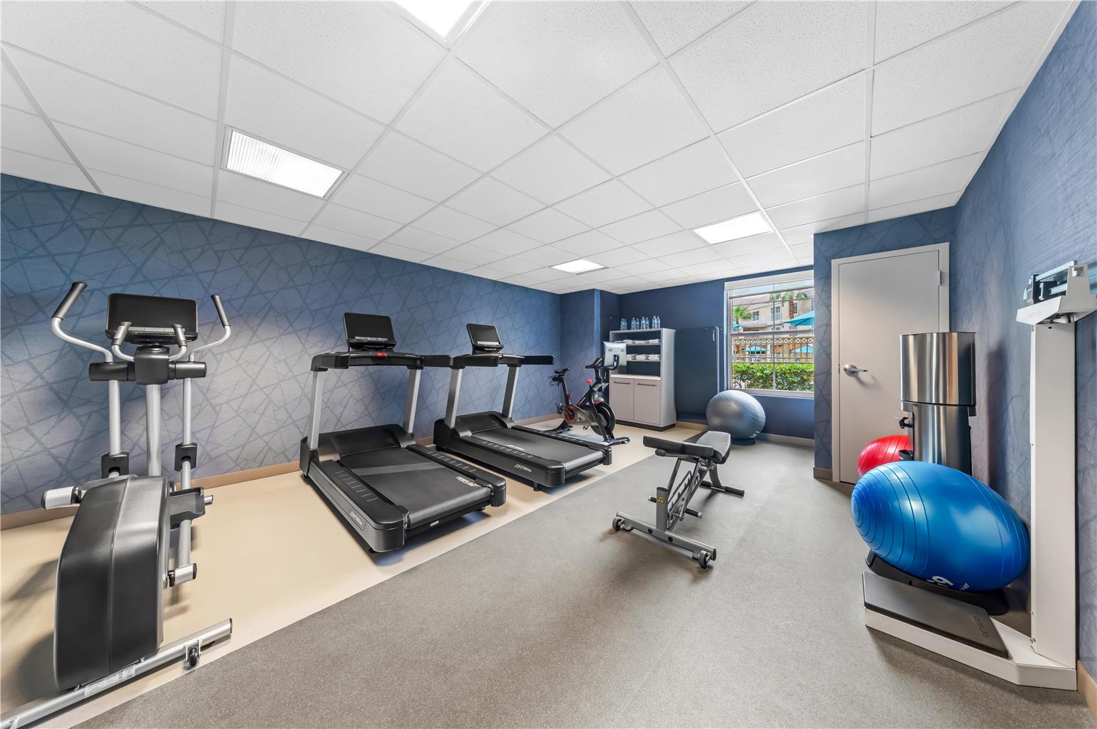 Health club fitness center gym