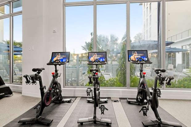 Images The Marc Apartments