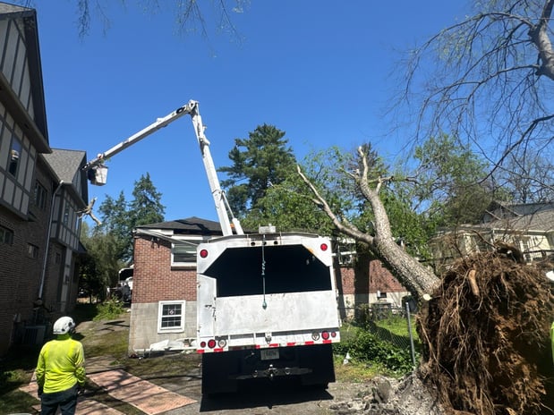 Images Tree Masters of Tennessee