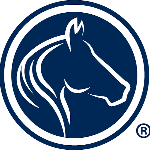 The Goddard School of Greenpoint Image