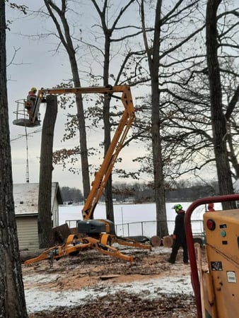 Images Paul's Tree Service