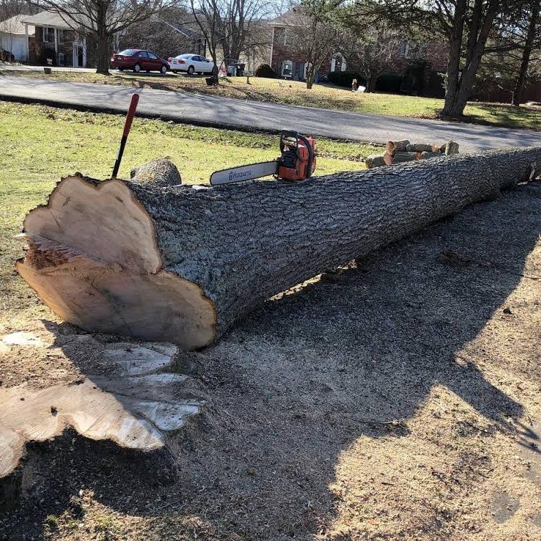 A Top Notch Tree Service Ltd Co.