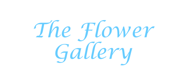 Images The Flower Gallery