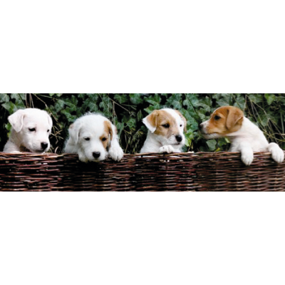 Tierarztpraxis Dr. Fabian Schmidt, Im Park 3 in Planebruch