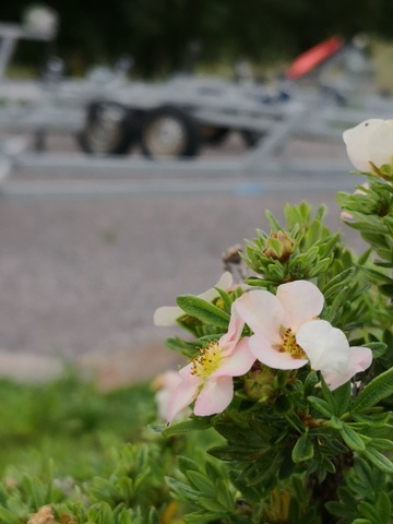 Images Marin & Fastighetsservice AB (MOF AB)