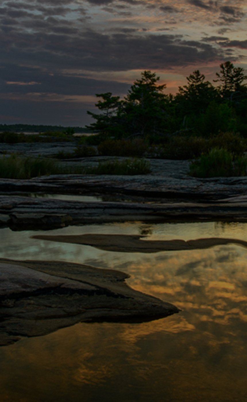 Reflective tide pools at dusk.