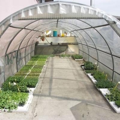 Images Zambonin Agricoltura
