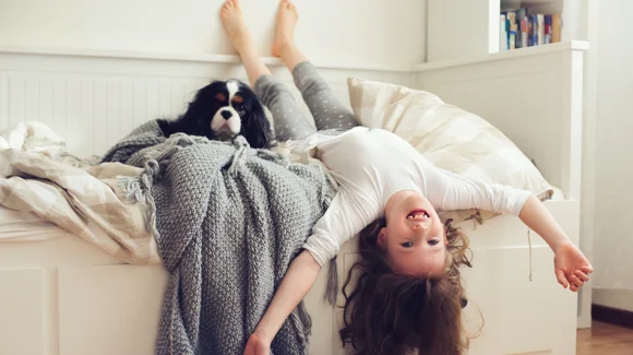 Images Lappeenrannan Asuntopalvelu Oy