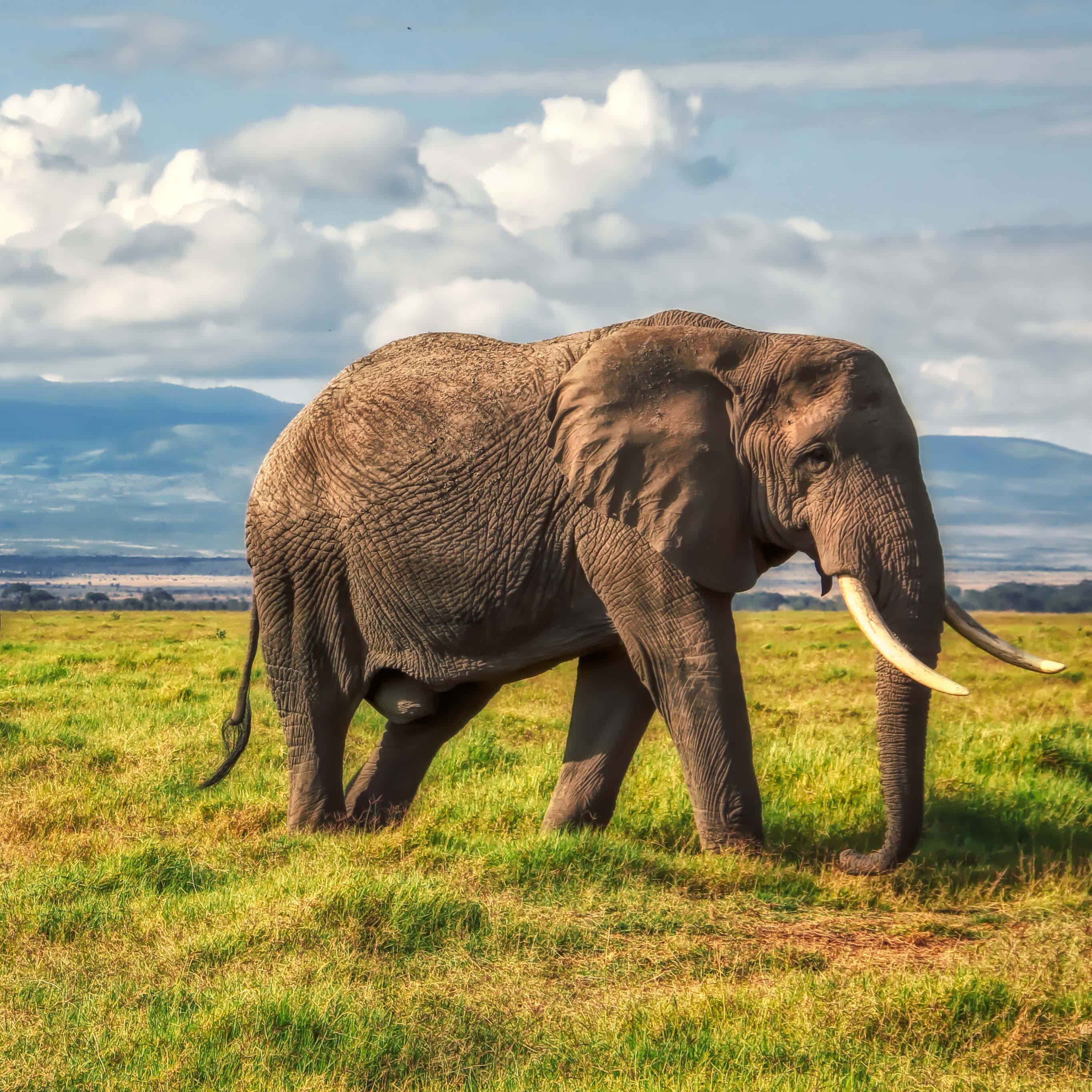 Ozeania Reisen AG, Bernardastrasse 38 in Fislisbach