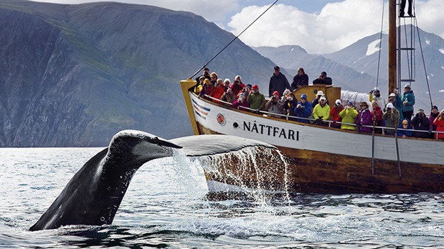 Images Vulkanresor AB