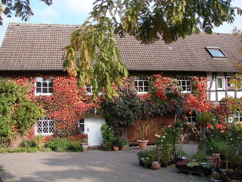 Bilder Hesselmann Baumschulen