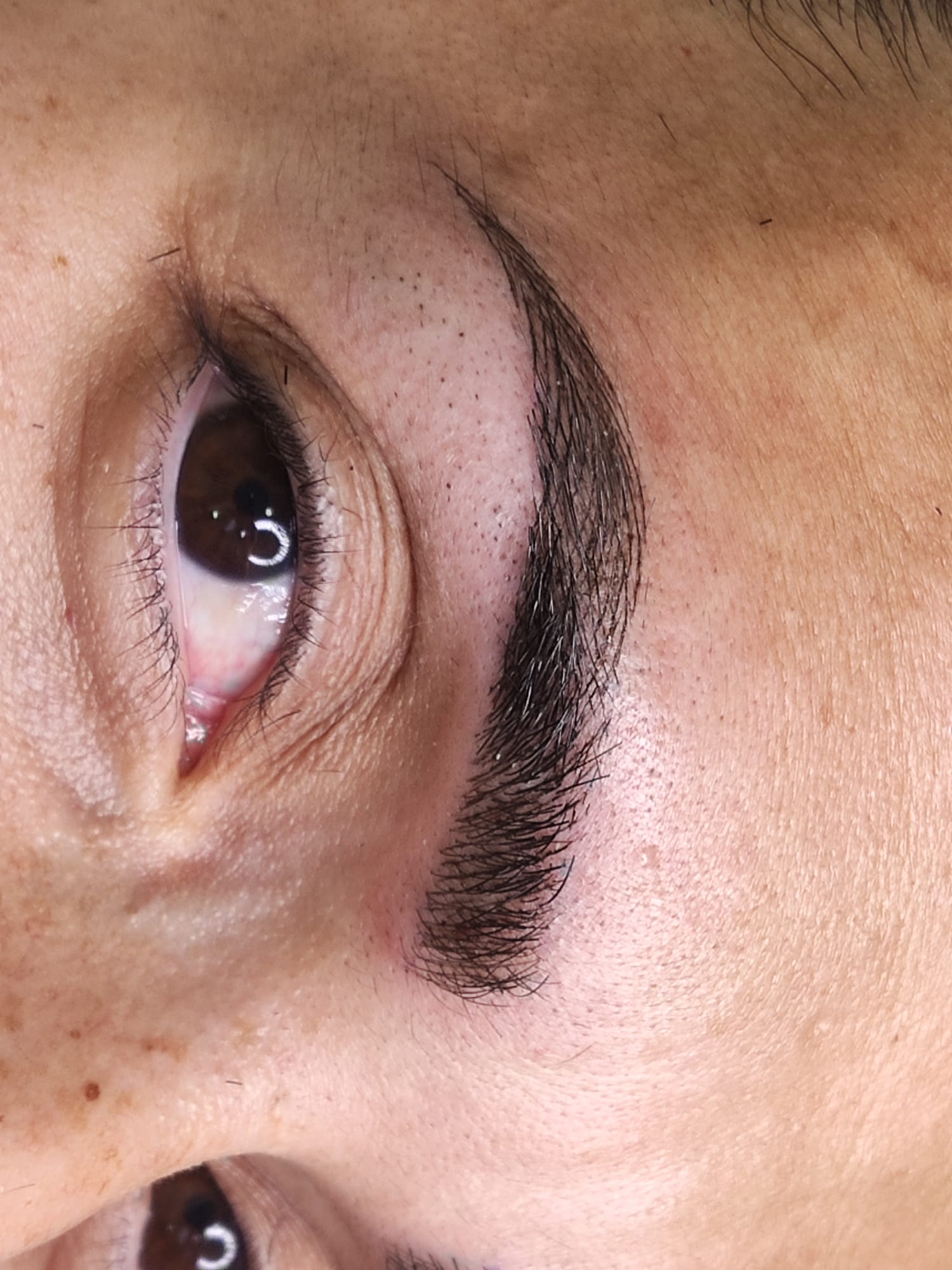 Images Dc Brows & lashes