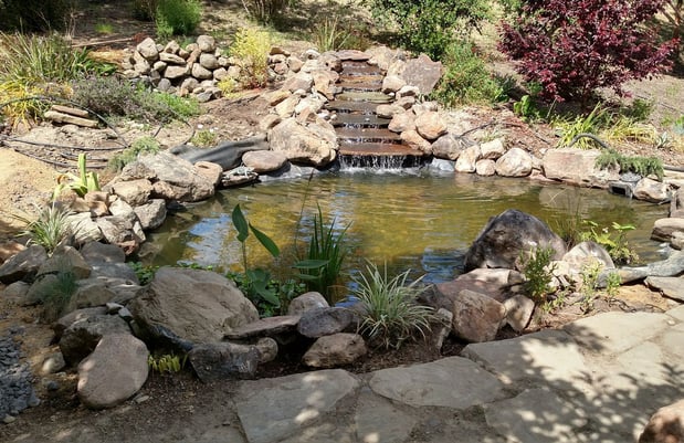 Images Paz Landscape