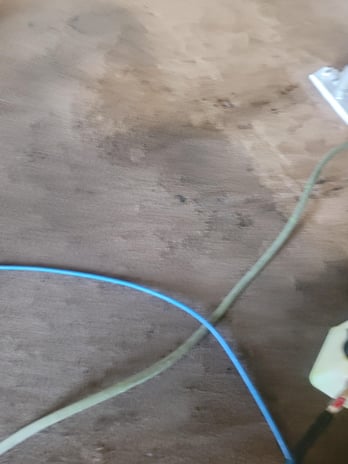 Images BCS Carpet Cleaning
