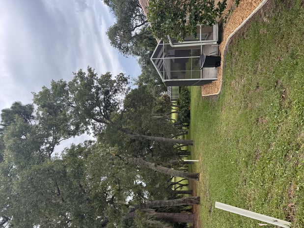 Images Trent's Tree Service The Neighborhood Arborist LLC