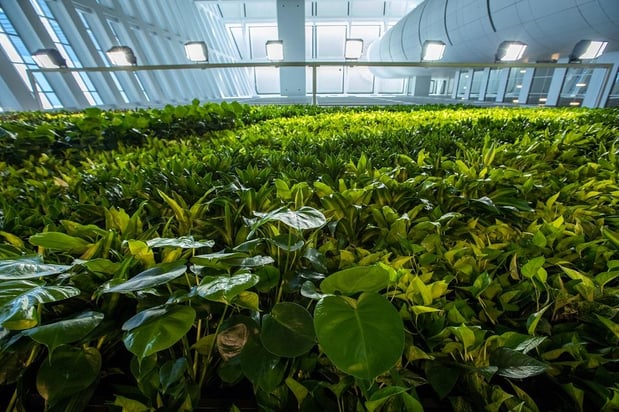 Images John Mini Distinctive Landscapes