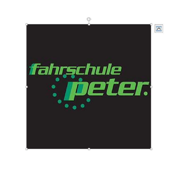 fahrschule peter. Logo