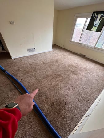 Images Brown and Sons Cleaning Company
