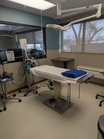 Images VCA Avondale Veterinary Hospital