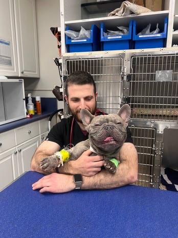 Images VCA McClave Animal Hospital