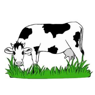 David Glendinning Agricultural Supplies Logo
