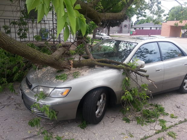 Images Ron'z Tree Service LLC