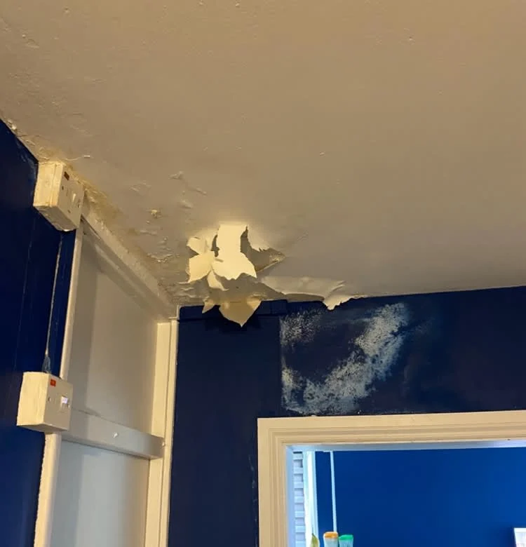 Images Housing Disrepair Experts