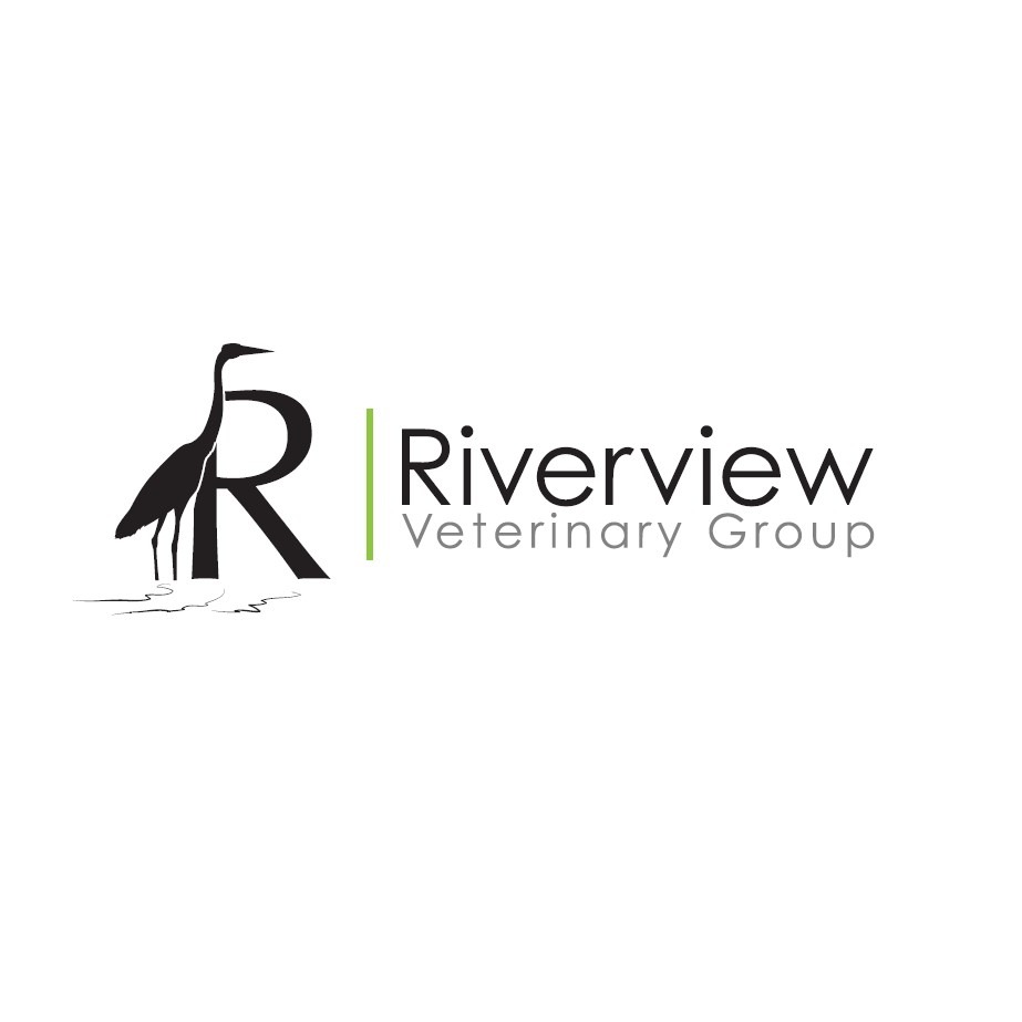 Riverview Veterinary Group, Bandon Branch