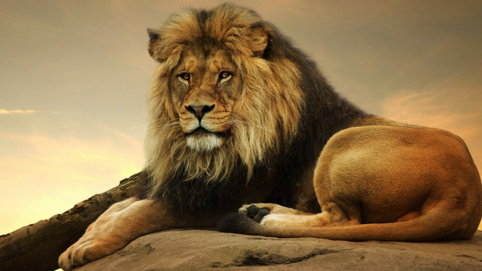 DayMarkt, Bahnhofstraße 31 in Freren