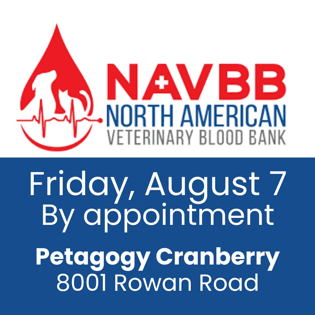 Image of Local Pet Event NAVBB Blood Drive Nearby