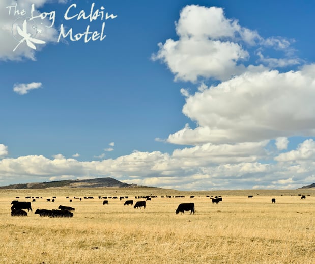 Images Log Cabin Motel