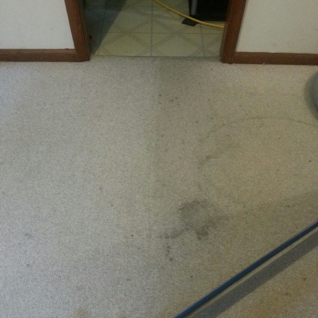 Images Cleaning Guy'z Company, Inc.