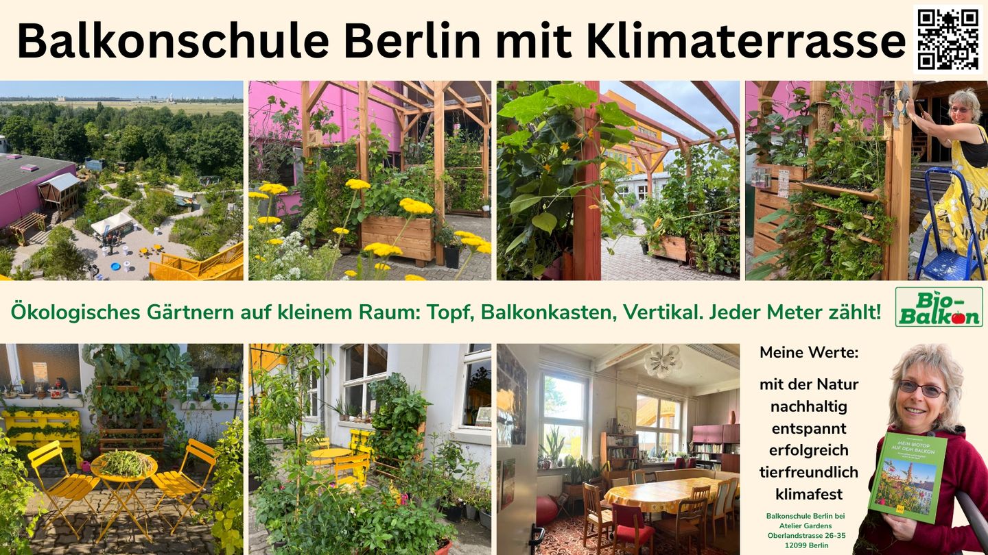 Bilder Bio-Balkon