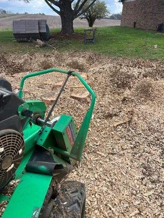 Images Abracadabra Stump Grinding