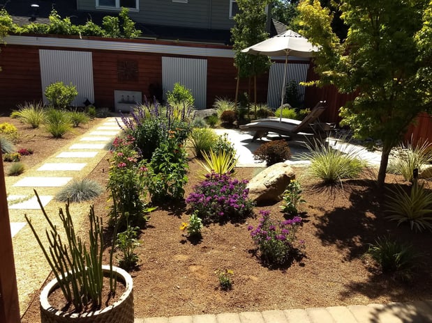 Images Paz Landscape