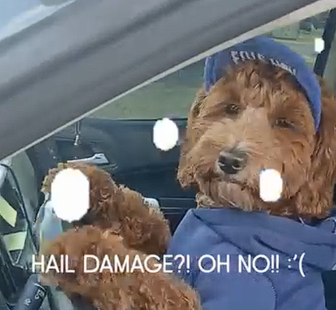 Colorado got hit by hail again. ????️????
If your vehicle was in or near Monument, Palmer Lake, Colorado Springs, Denver, Berthoud, Johnstown, Milliken, Fort Morgan, Sterling, or Brush, it&rsquo;s worth checking your hood, roof, and trunk for hail dents.
At Elite Hail Systems, we&rsquo;re proud to be:
✅ Family-owned
✅ Veteran-owned
✅ A+ BBB rated
✅ Backed by a lifetime warranty
We make auto hail repair simple from start to finish &mdash; including insurance claim filing, working with all major insurance companies, deductible coverage up to $1,000, rental car coverage up to $500, pickup/drop-off, and Sunday or after-hours appointments.
Book your free hail check today: