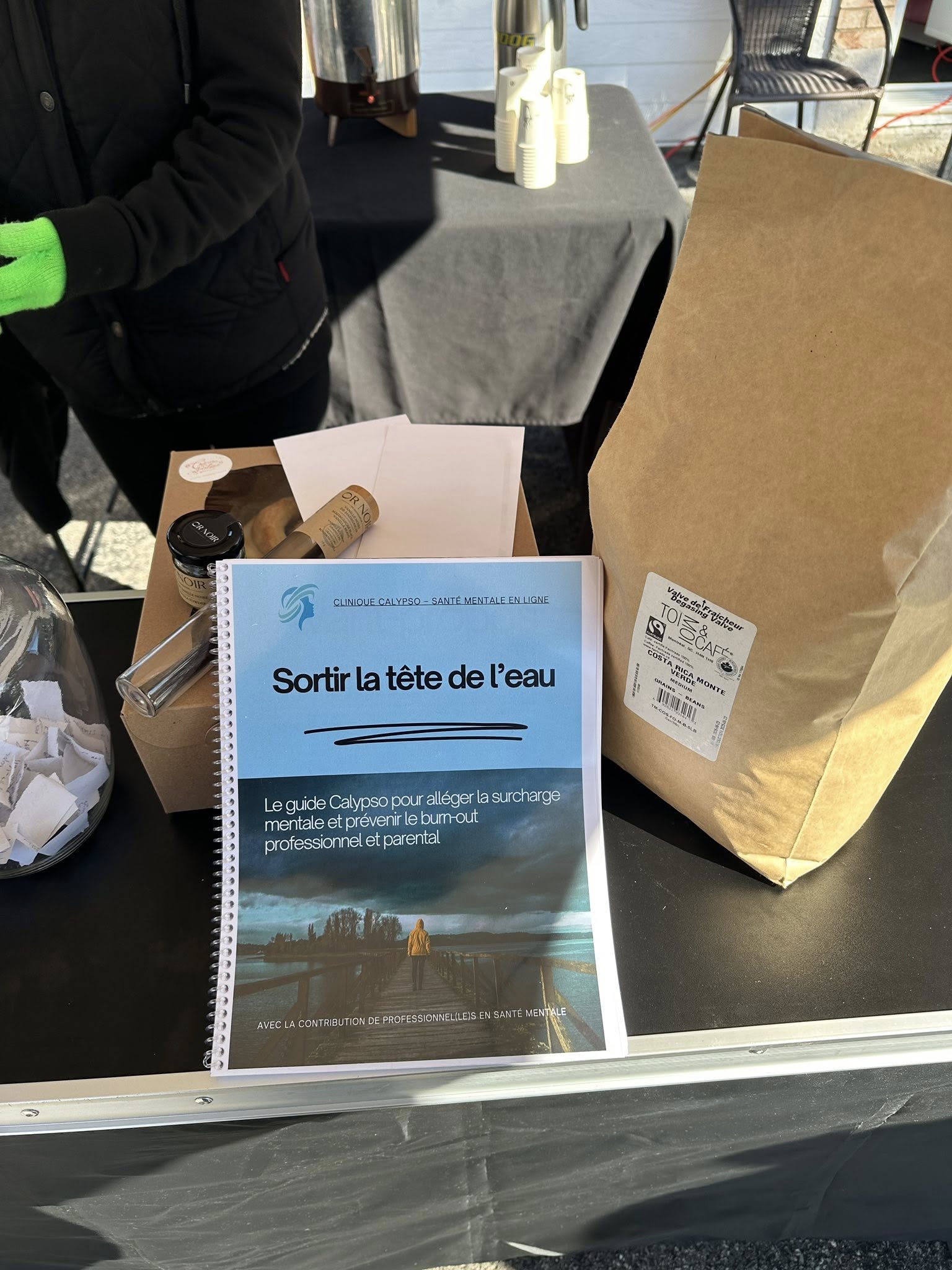 Images Clinique Calypso - Psychologue Levis