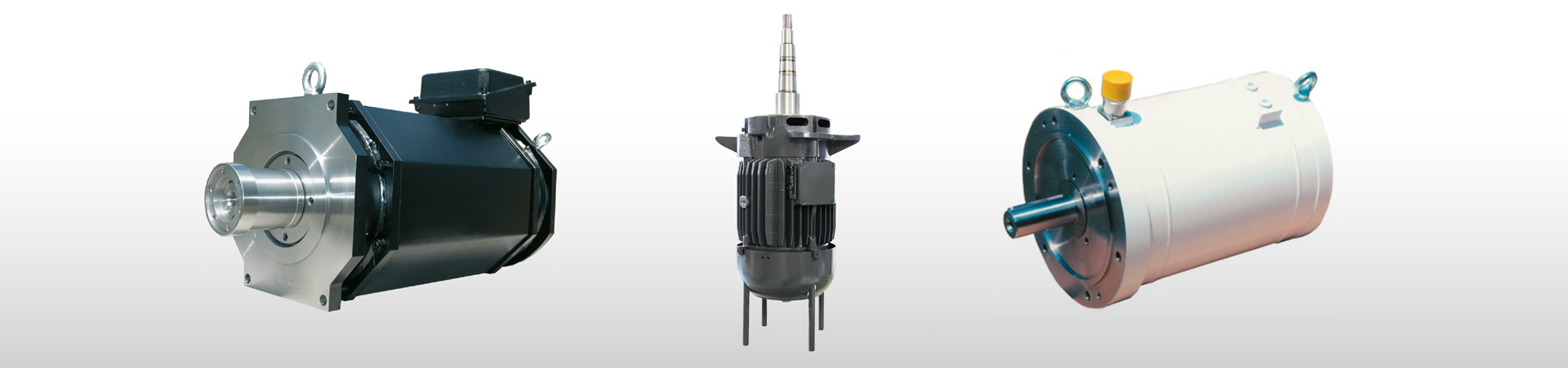 Elektromotorenwerk Brienz AG, Mattenweg 1 in Brienz BE