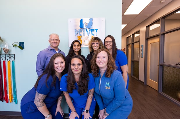 Images PetVet365 Pet Hospital Denver / University