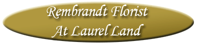 Serenity Florist
