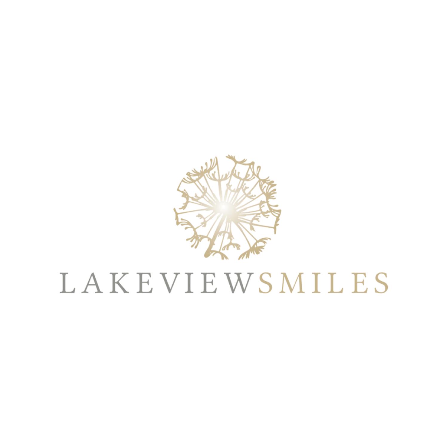 Lakeview Smiles - Edgewater - Chicago, IL 60660 - (312)854-7668 | ShowMeLocal.com