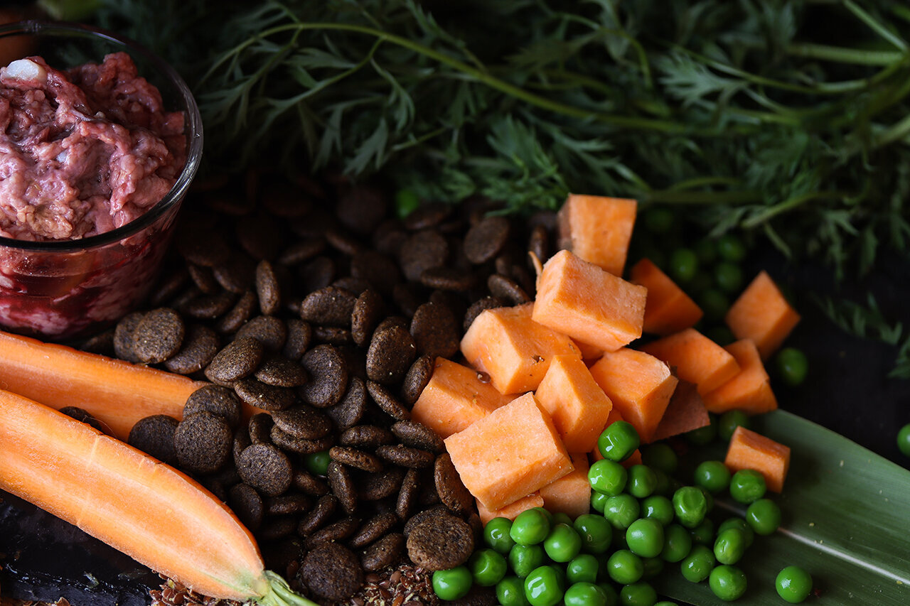 Bilder Green Pet Shop