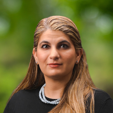 Shirin Hoodei